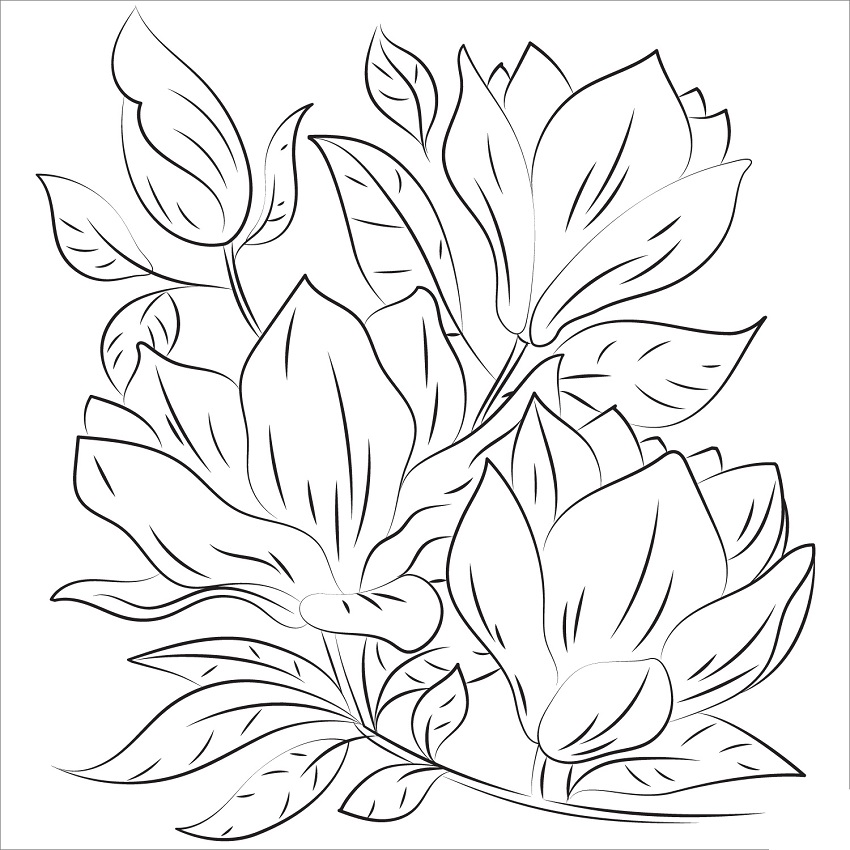 Desenho de Flor de Magnólia para Imprimir Grátis