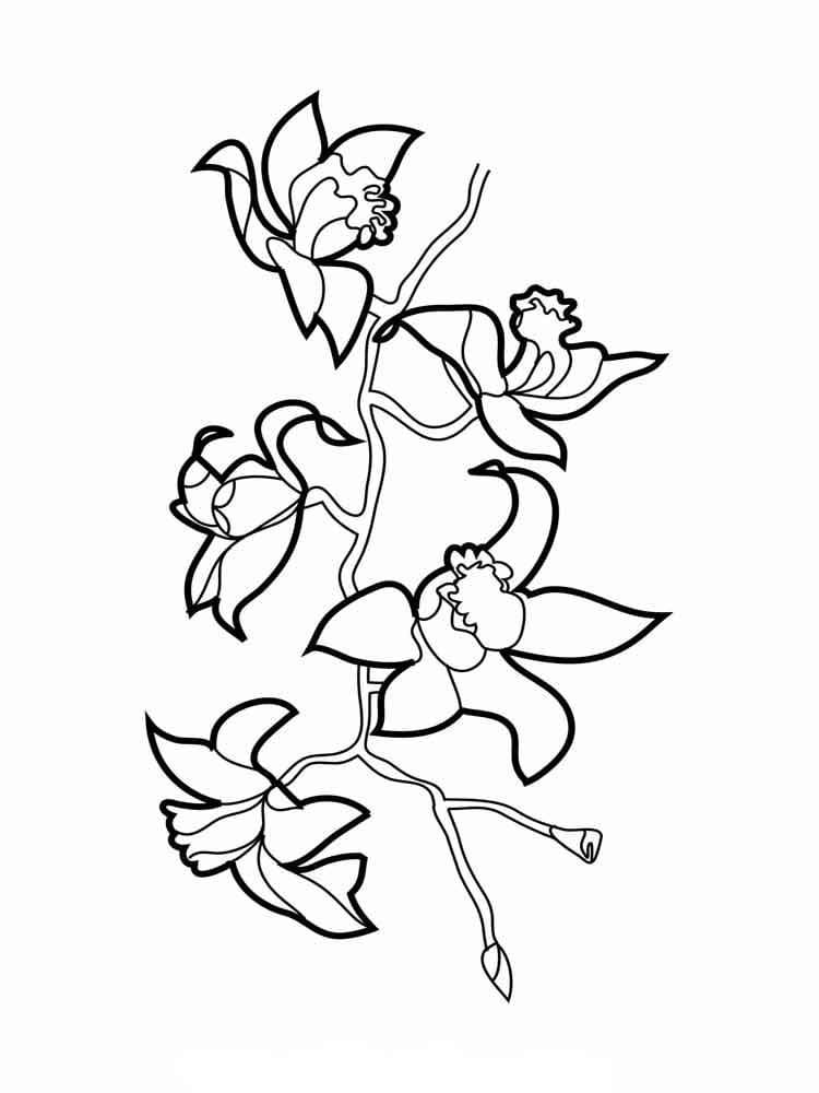 Desenho de Orquídea Incrível para Colorir