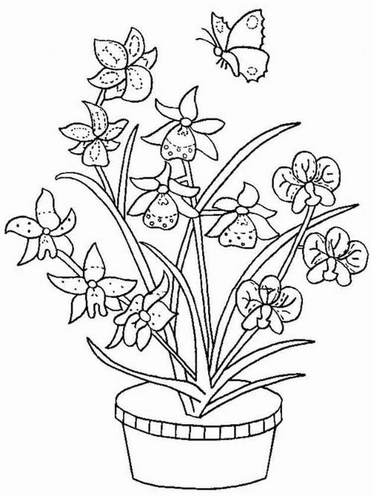 Desenho de Orquídeas e uma Borboleta para Colorir