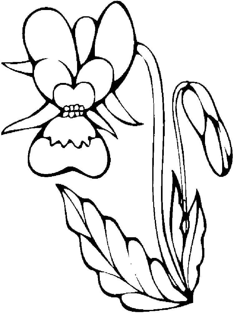 Desenho Orquídea Infantil para Colorir