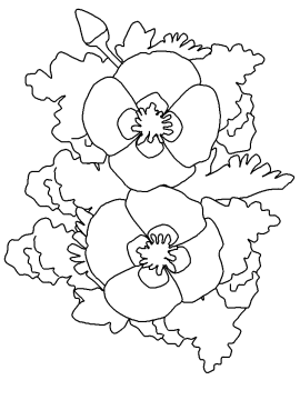 Desenho de Papoula da califórnia para Colorir