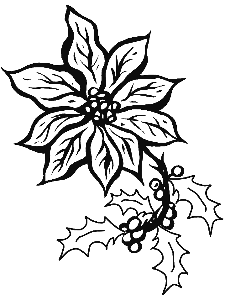 Desenhos de Poinsétia para Colorir