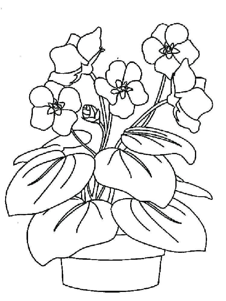 Desenho de um Vaso de Flor Violeta para Colorir