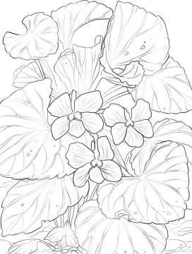 Desenho Violetas da Floresta para Colorir