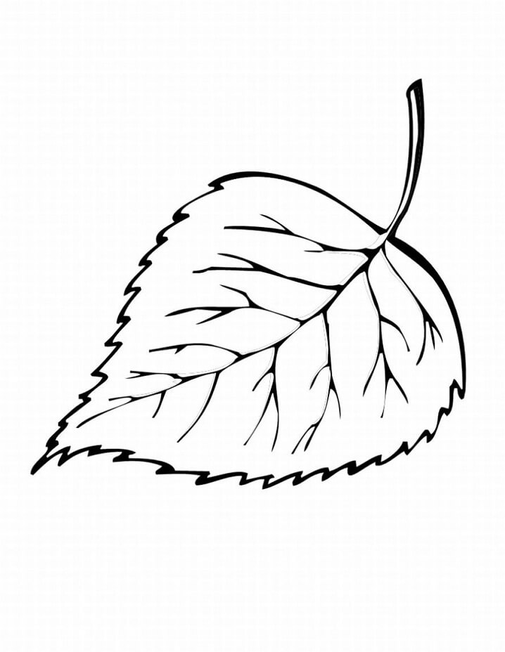 Desenho de Folha Colorida para Colorir Pdf