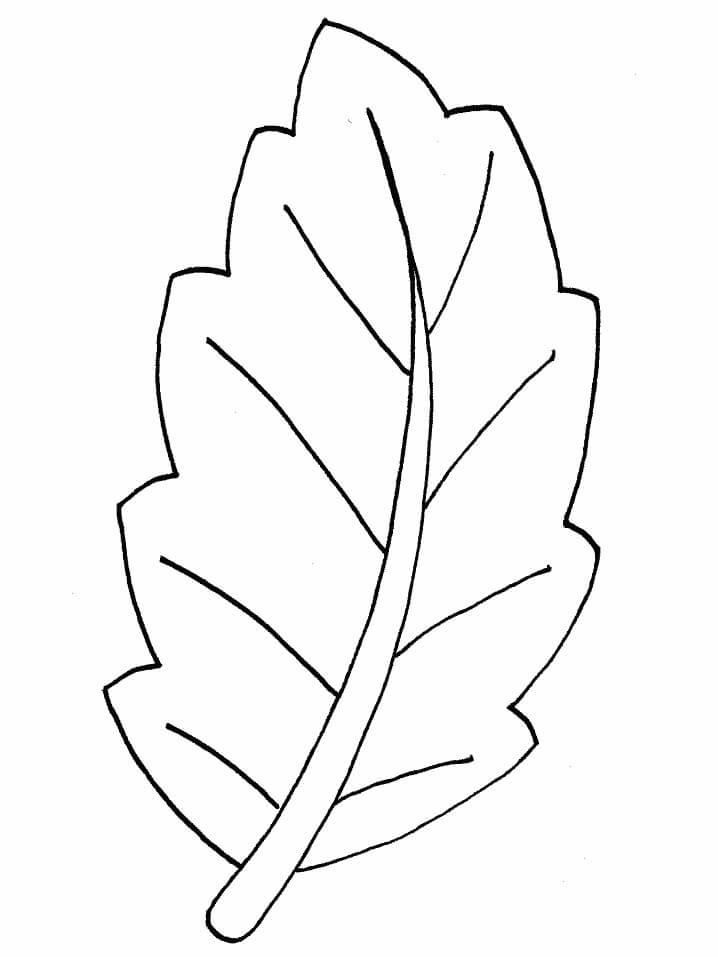 Desenho de Folha Grande para Colorir Pdf