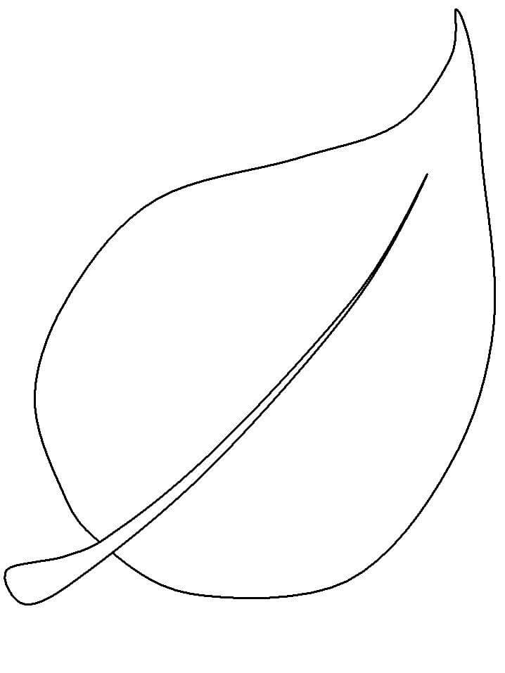 Desenho de Folha Imprimivel Download