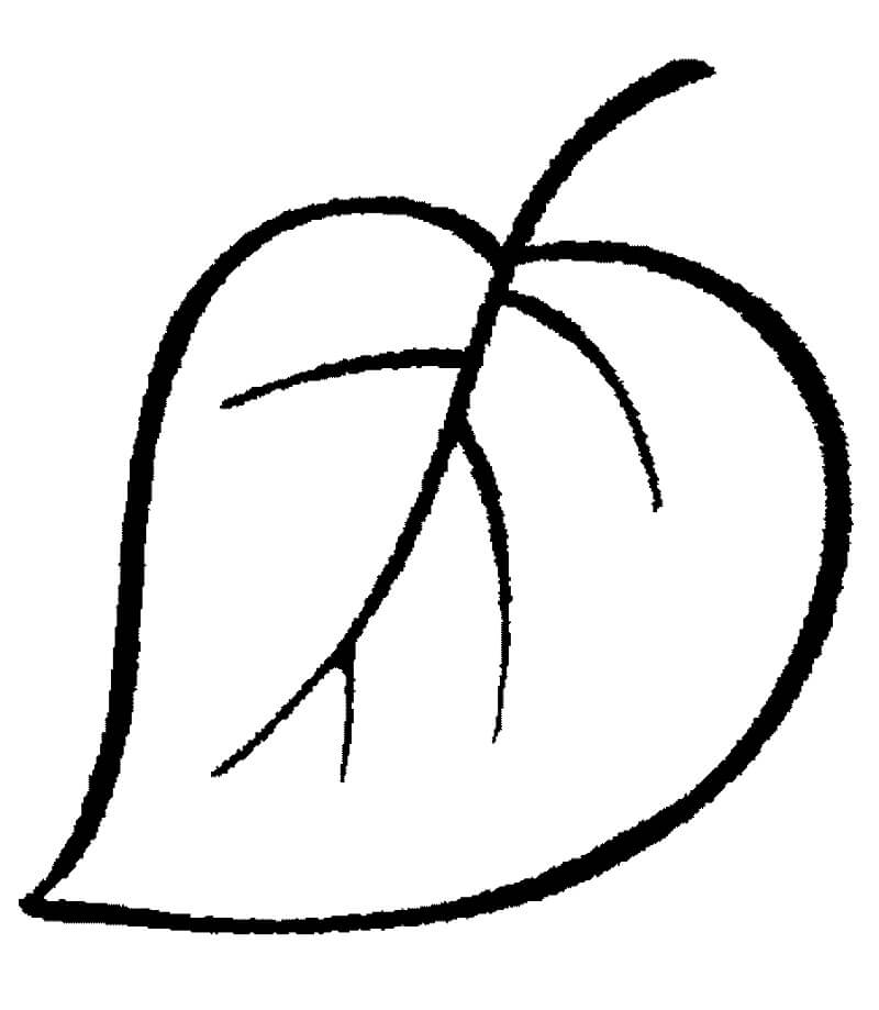Desenho de Folha Infantil para Imprimir