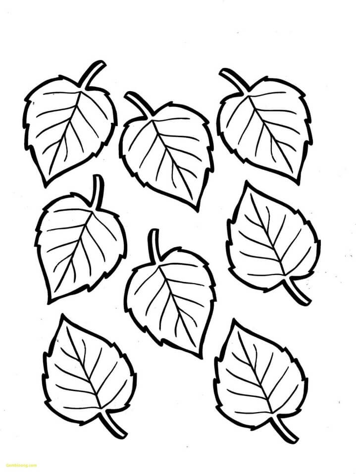 Desenho de Folha na Primavera para Colorir Pdf