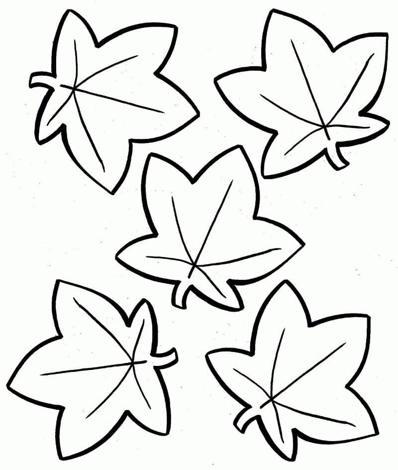 Desenho de Folha para Borboleta para Imprimir