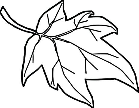 Desenho de Folha para Pintar Giz de Cera