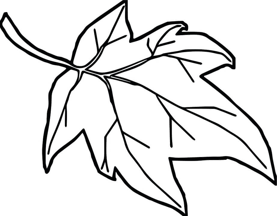 Desenhos de Folhas para Colorir