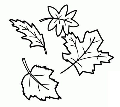 Desenho de Folha Verde para Imprimir