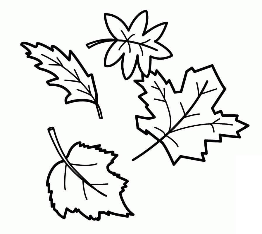 Desenho de Folha Verde para Imprimir