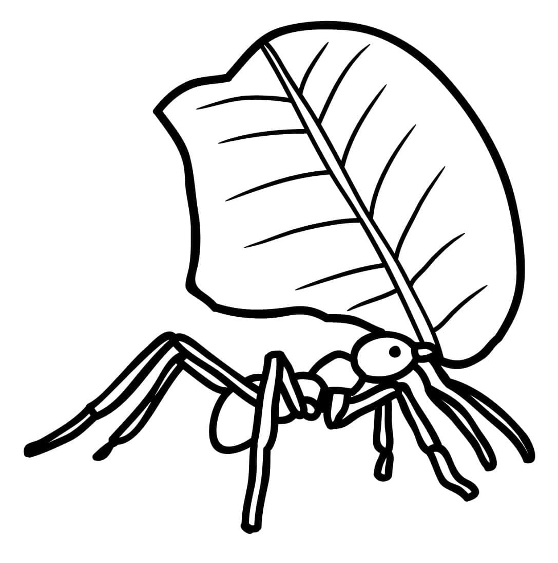 Desenho de Formigá com Folha para Colorir