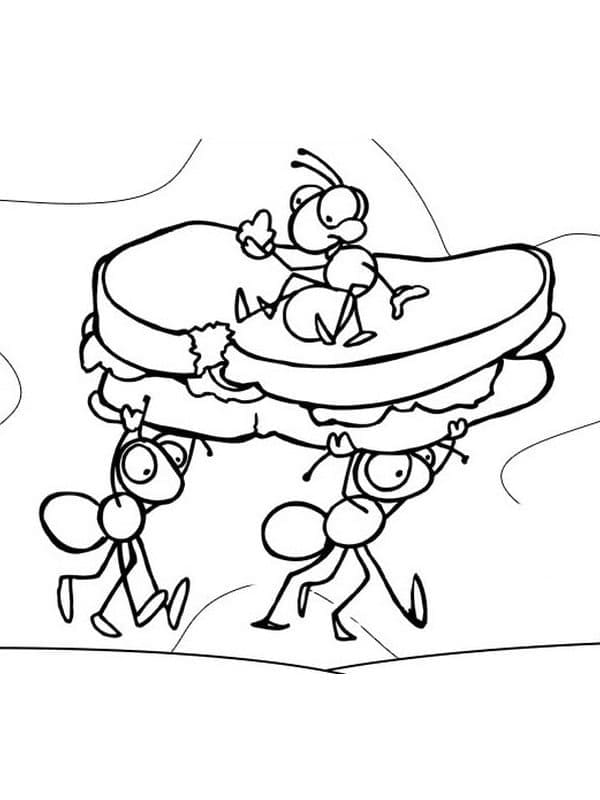 Desenho de Formigas para Colorir