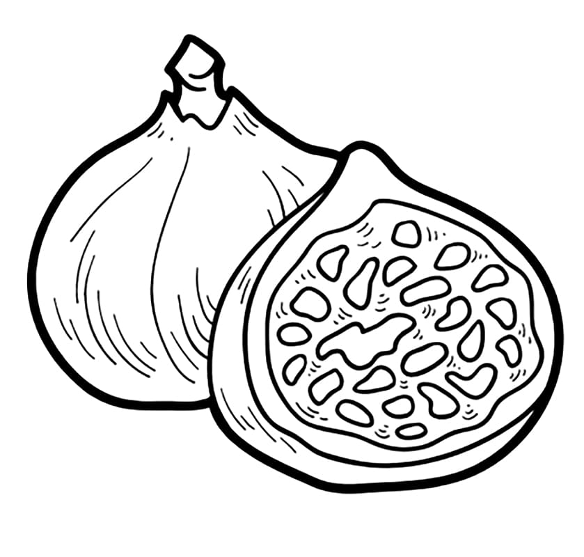 Desenho de Figo para Colorir Pdf