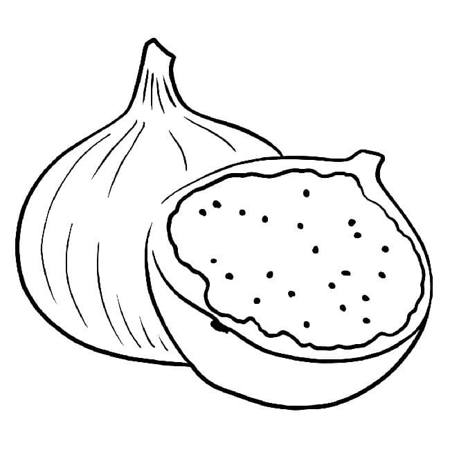 Desenho de Figo para Imprimir Lápis de Cor