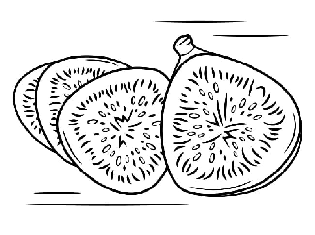 Desenhos de Figo para Colorir