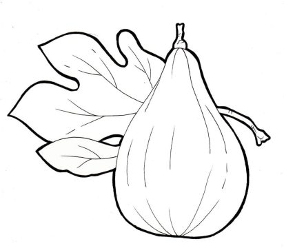 Desenho de Um Figo para Colorir