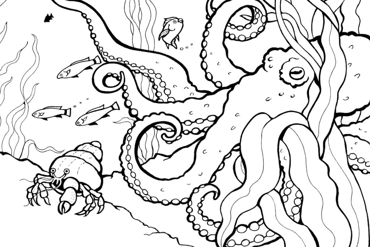 Desenho de Fundo do Mar Grátis para Colorir