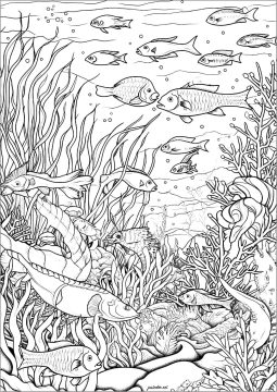 Desenho de Fundo do Mar para crianças para Colorir