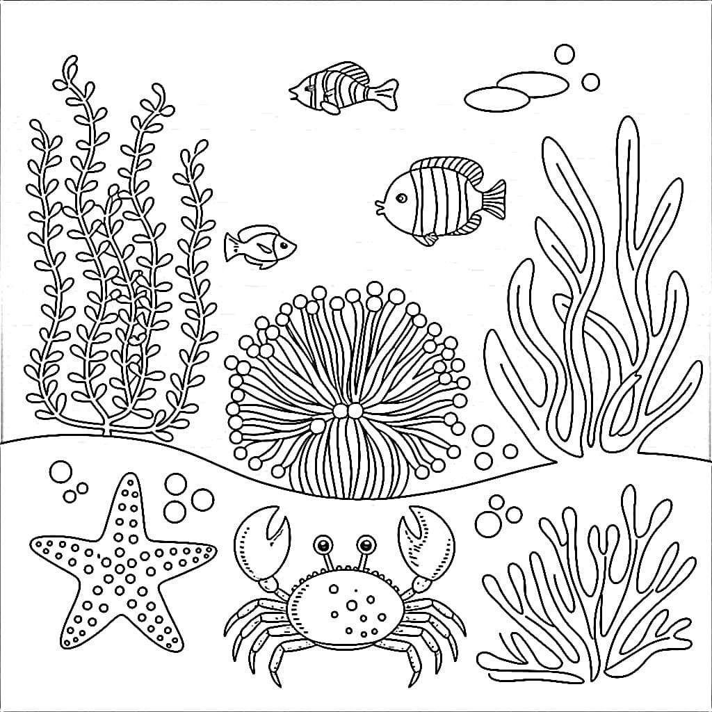 Desenho de Paisagem Fundo do Mar para Colorir