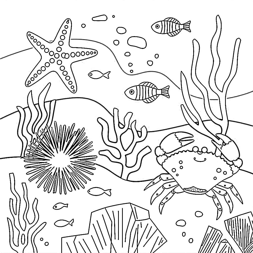 Desenho de Paisagem do Fundo do Mar para Colorir