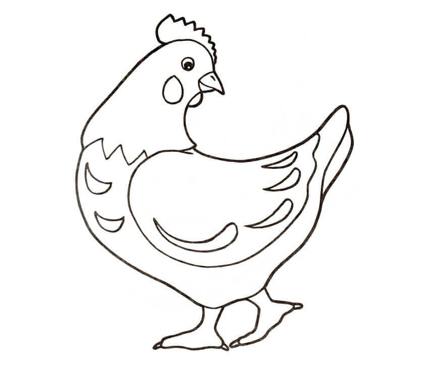 Desenho de Galinha Bonita para Colorir