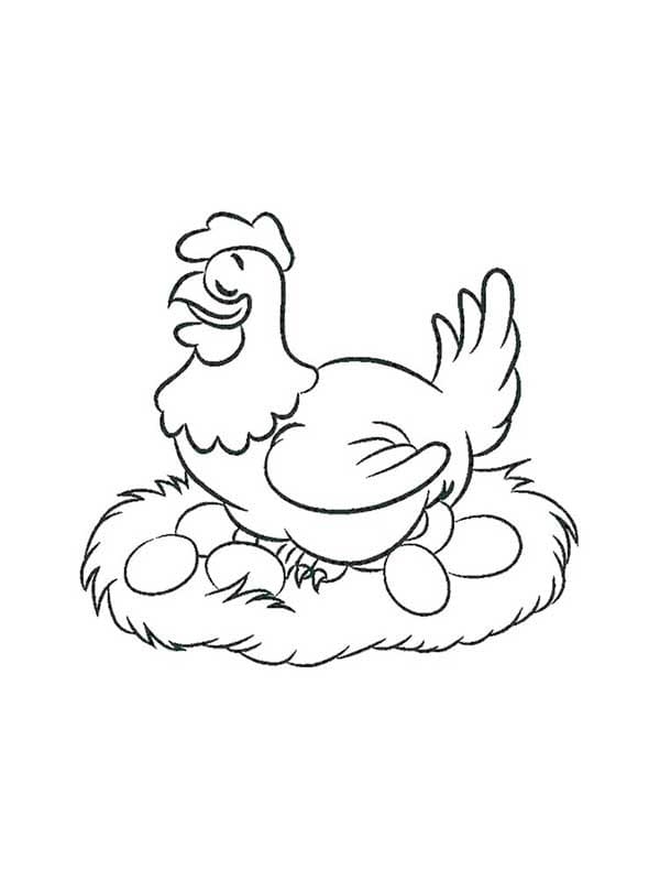 Desenho de Galinha e Ovos para Colorir