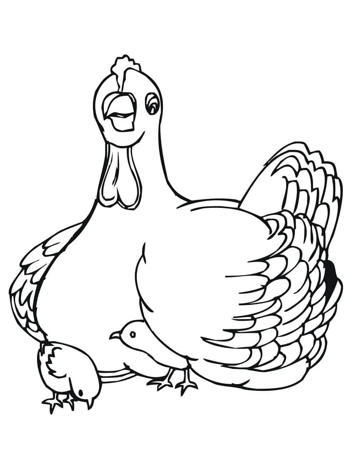 Desenho de Galinha e Pintinhos para Colorir