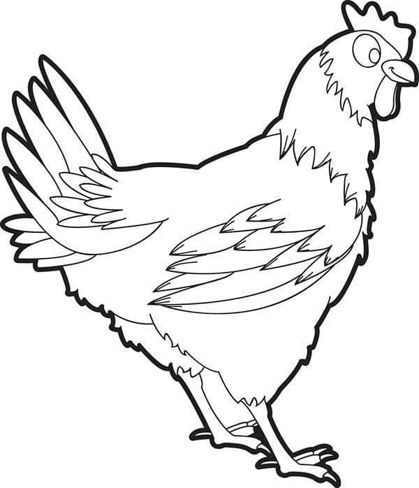Desenho de Galinha Grátis para Colorir