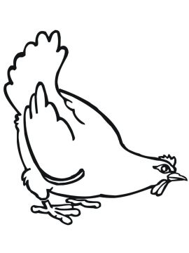 Desenho de Galinha para Colorir