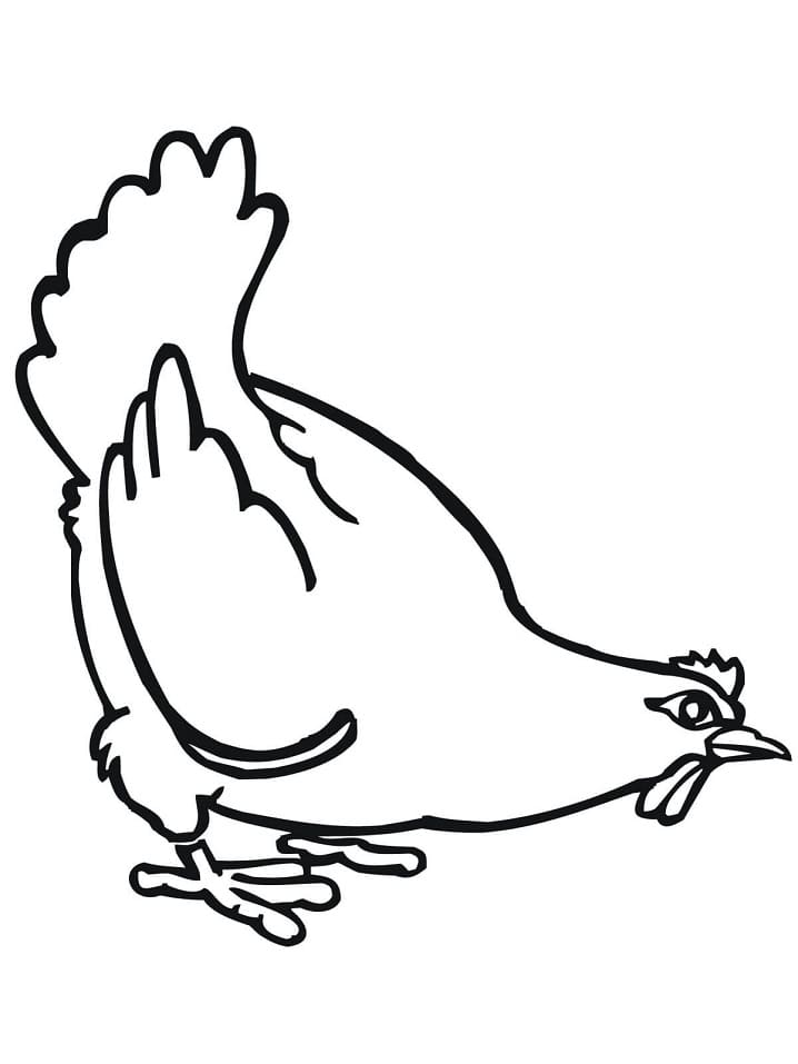 Desenho de Galinha para Colorir