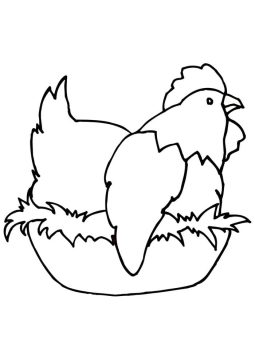 Desenho de Galinha para crianças para Colorir