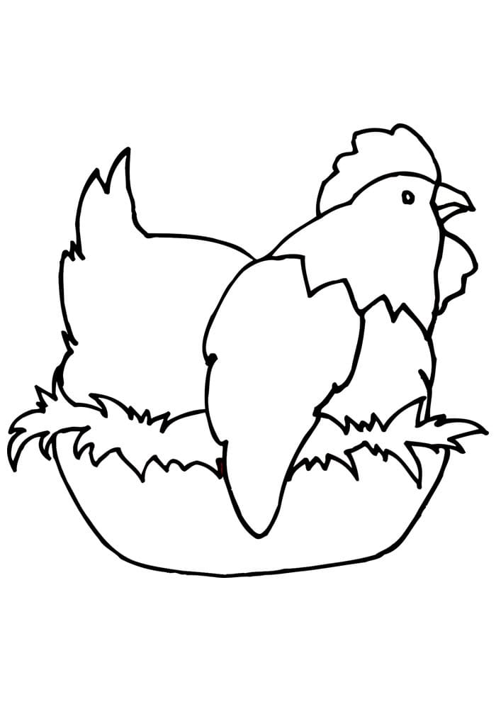 Desenho de Galinha para Crianças para Colorir
