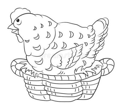 Desenho de Galinha Pondo Ovos em Cesta para Colorir