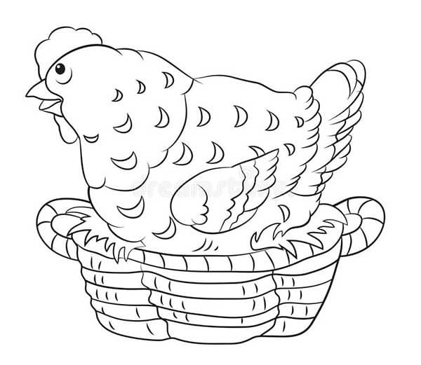Desenho de Galinha Pondo Ovos em Cesta para Colorir