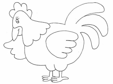 Desenho de Galinha Simples para Colorir