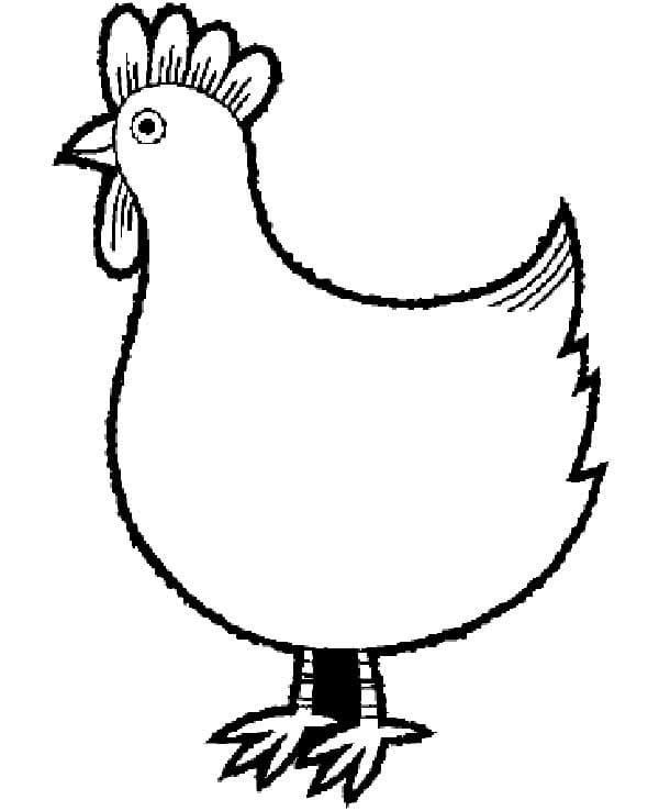 Desenho de Galinha Sorrindo para Colorir