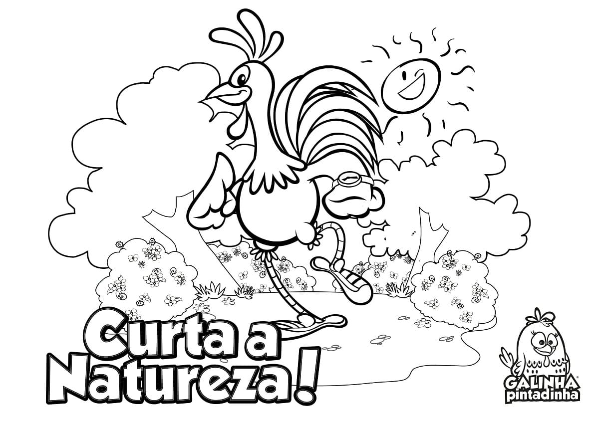 Desenho de Galo Carijo Engraçado para Colorir