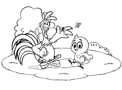 Desenho de Imprimível Galo Carijo para Colorir