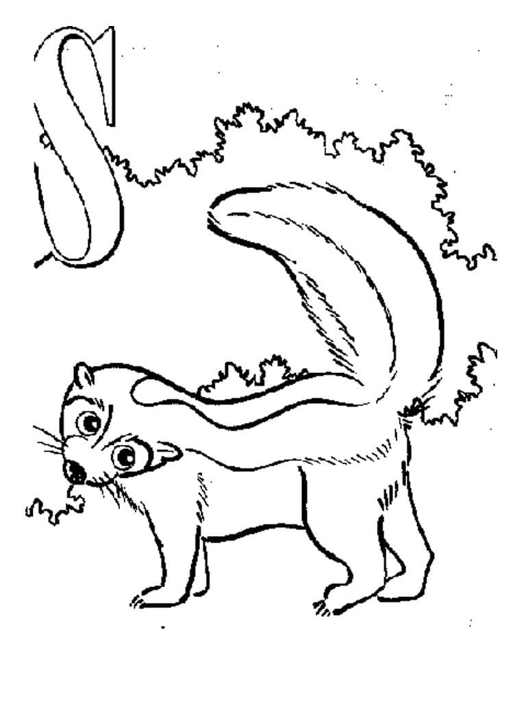 Desenho de Gambá Clássico para Colorir Pdf