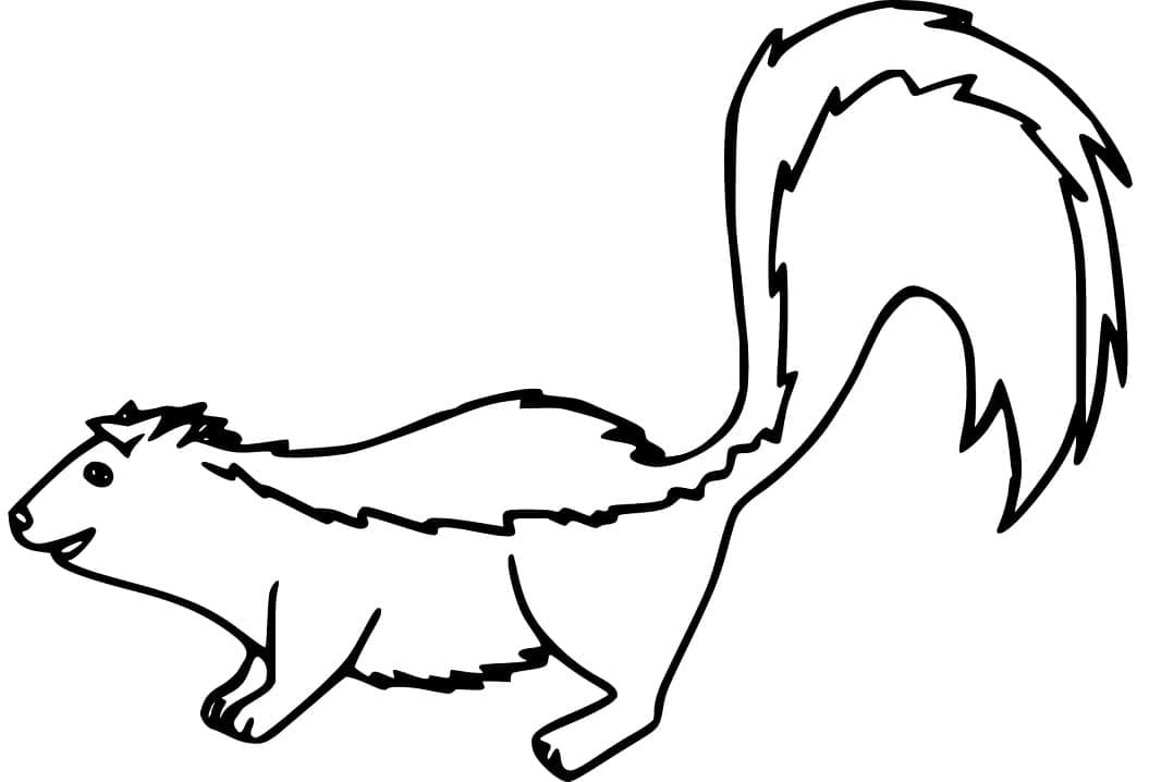 Desenho de Gambá Completo para Imprimir