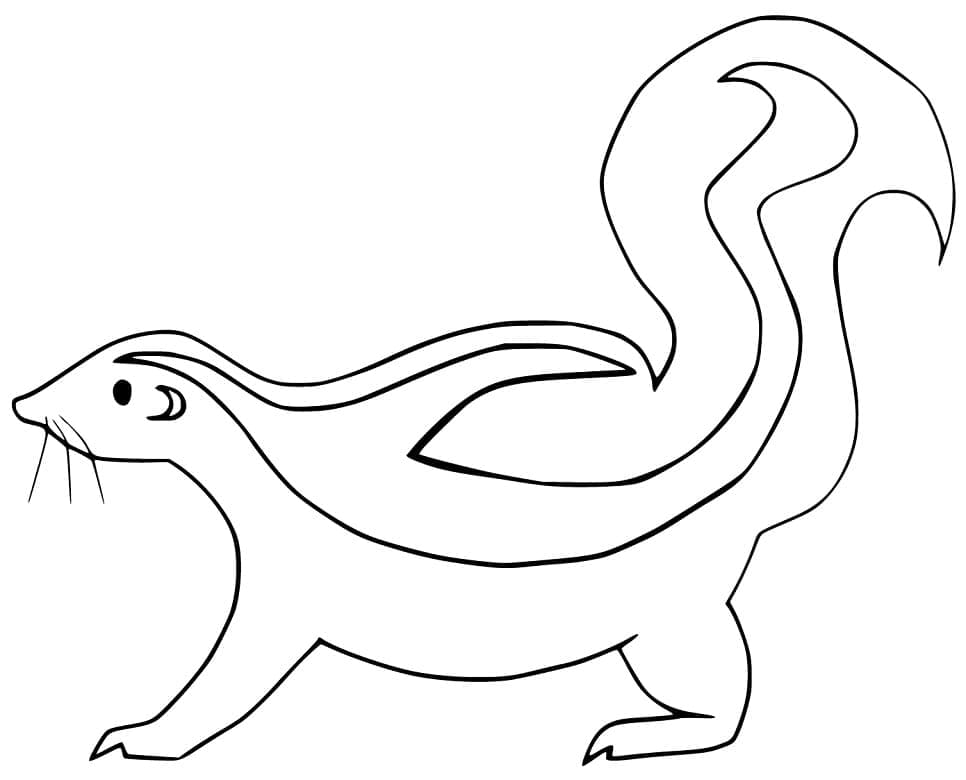 Desenho de Gambá Detalhado para Colorir