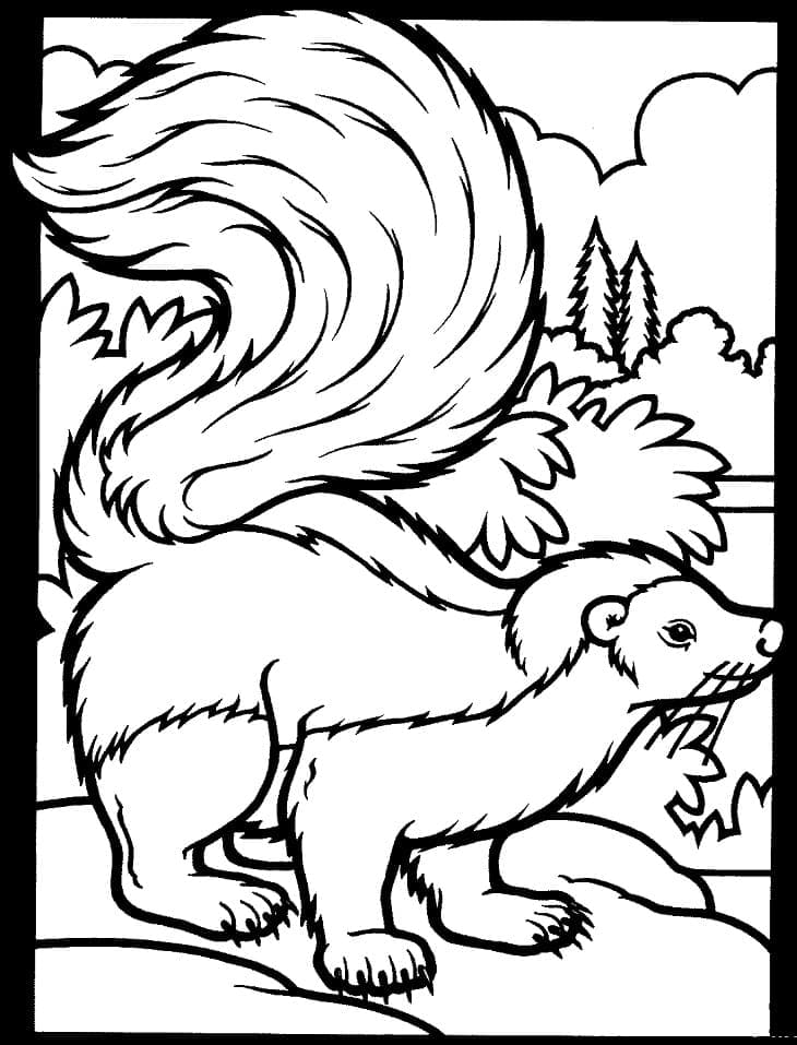 Desenho de Gambá em Floresta para Colorir