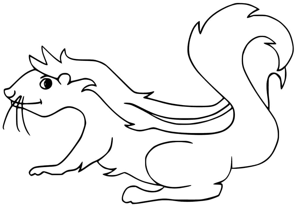 Desenho de Gambá Engraçado para Imprimir