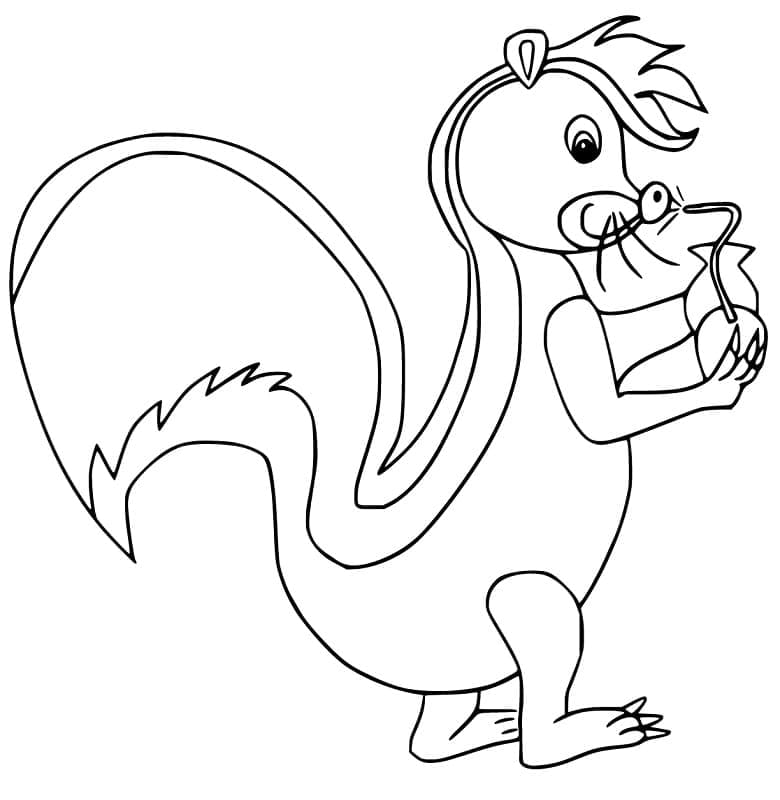 Desenho de Gambá Infantil para Imprimir