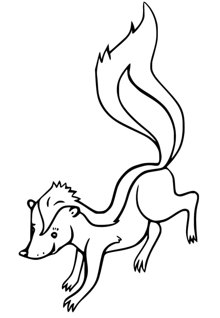 Desenho de Gambá para Colorir Pdf