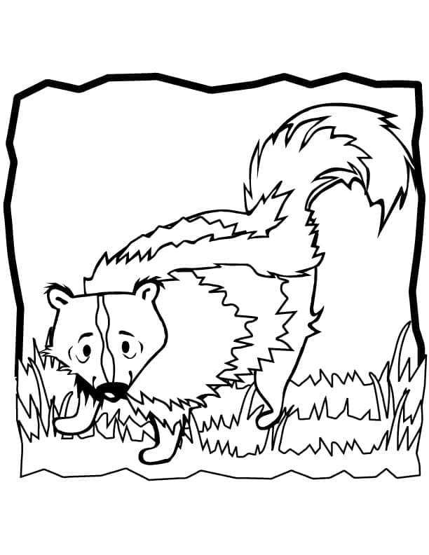 Desenho de Gambá para Imprimir Lápis de Cor